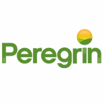 peregrin-1-1024x1024